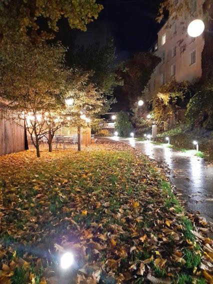 タリンCozy Old Town Historic Houseアパートメント エクステリア 写真